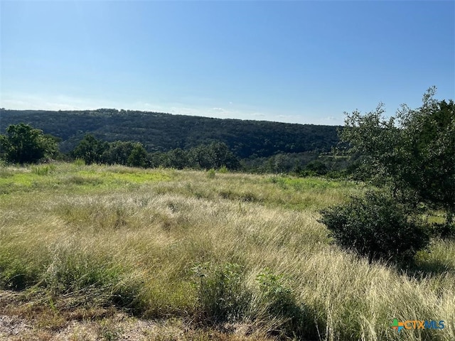 904 Indian Rdg, New Braunfels, TX 78132 - photo 1