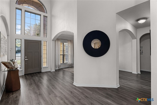 foyer with a towering ceiling and dark wood-type flooring