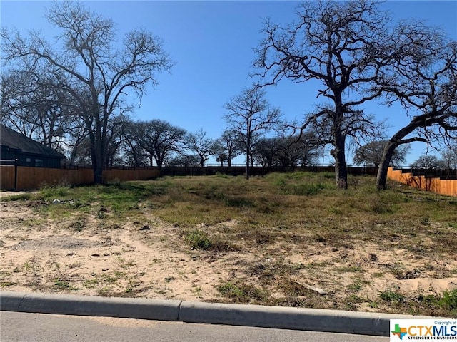 205 Ash Pkwy, La Vernia, TX 78121