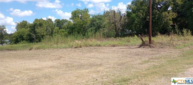 806AND810 W 7th, Cameron, TX 76520 - photo 1