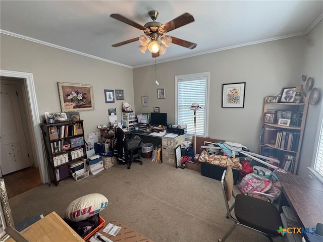 carpeted office space featuring a wealth of natural light, crown molding, and ceiling fan