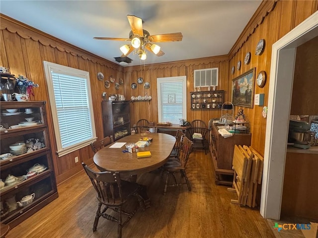 dining room featuring wood finished floors, a healthy amount of sunlight, wood walls, and ceiling fan