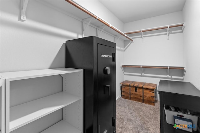 2512 Corradino St, Harker Heights, TX 76548 - walk in closet featuring carpet