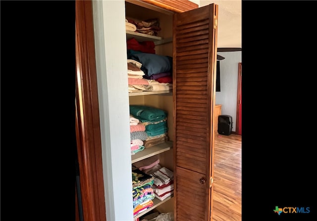 view of closet