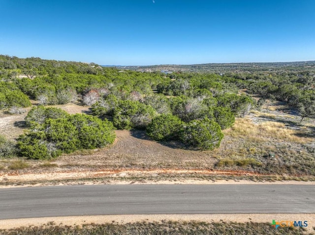 1736 Demi John Bend Rd, Canyon Lake, TX 78133