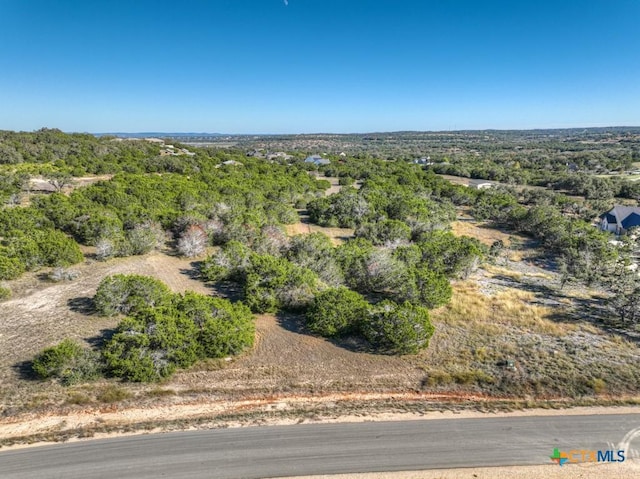 1736 Demi John Bend Rd, Canyon Lake, TX 78133