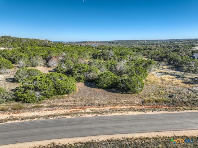 1736 Demi John Bend Rd, Canyon Lake, TX 78133