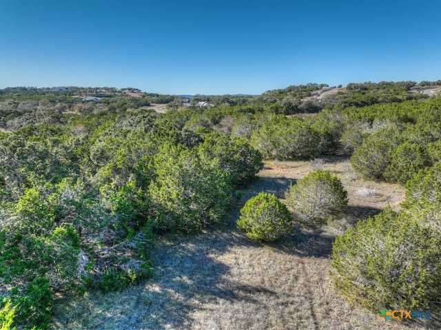 1736 Demi John Bend Rd, Canyon Lake, TX 78133