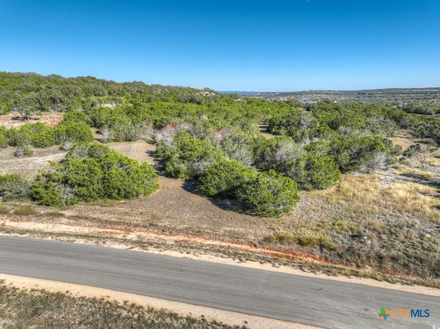 1736 Demi John Bend Rd, Canyon Lake, TX 78133