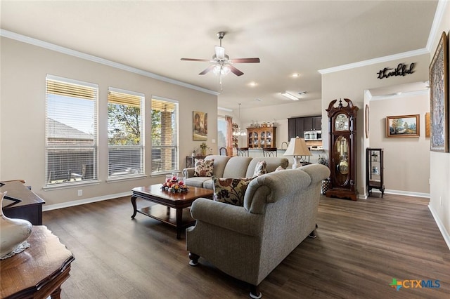 living room featuring ceiling fan, crown molding, and dark wood-type flooring