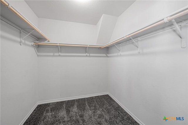 walk in closet with carpet flooring