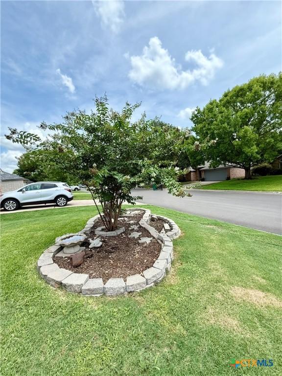 1828 Winchester Dr, Temple, TX 76502 - view of grassy yard
