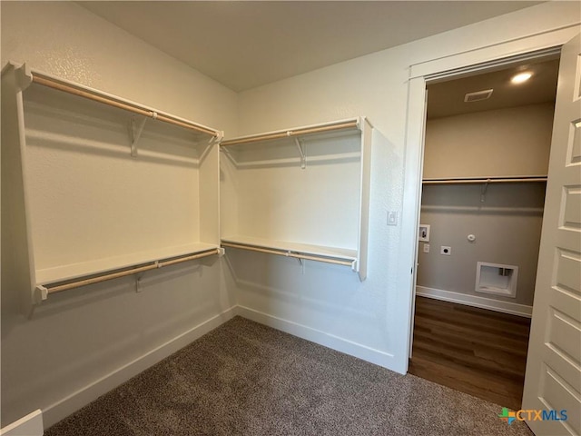 4015 Prairie Dr, Nolanville, TX 76559 - walk in closet with dark carpet