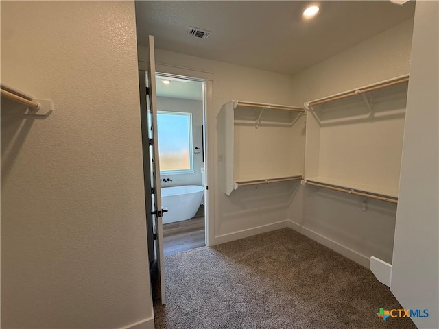 4015 Prairie Dr, Nolanville, TX 76559 - walk in closet featuring carpet flooring
