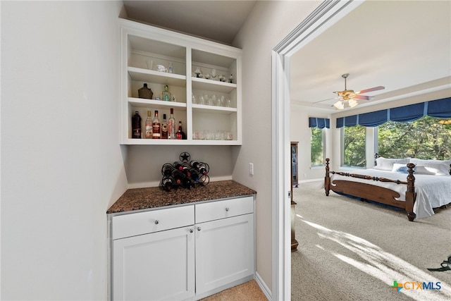 9063 Schoenthal Rd, San Antonio, TX 78266 - bar area with light colored carpet and a ceiling fan