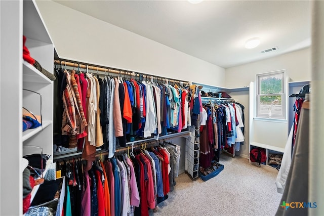 9063 Schoenthal Rd, San Antonio, TX 78266 - spacious closet with carpet flooring