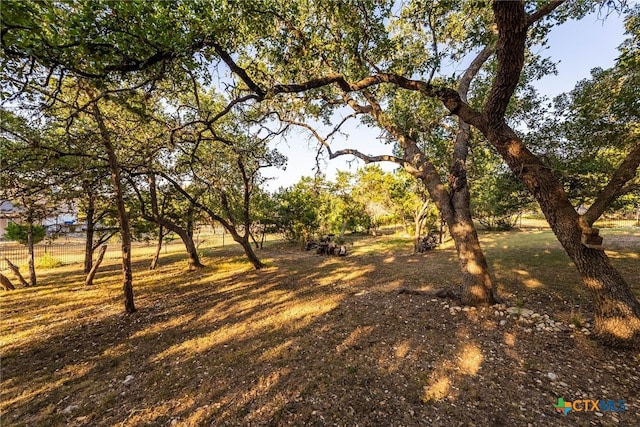 9063 Schoenthal Rd, San Antonio, TX 78266 - view of yard
