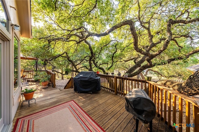 9063 Schoenthal Rd, San Antonio, TX 78266 - deck with grilling area