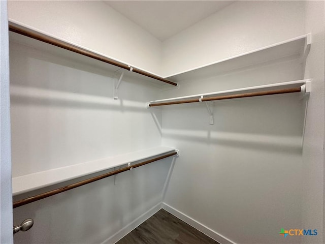 walk in closet with dark hardwood / wood-style flooring