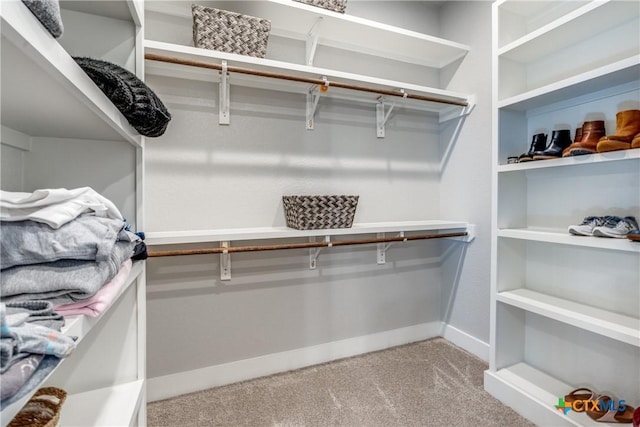 spacious closet with light carpet