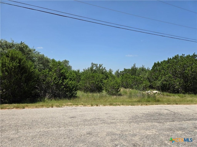 239 George Strait, Canyon Lake, TX 78133 - photo 5