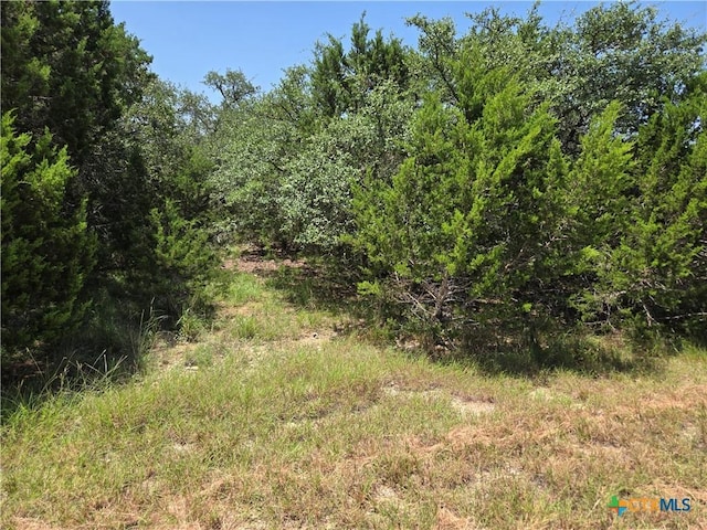 239 George Strait, Canyon Lake, TX 78133 - photo 6
