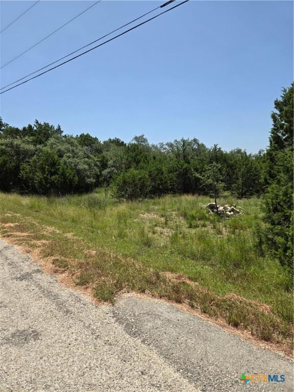 239 George Strait, Canyon Lake, TX 78133 - photo 12