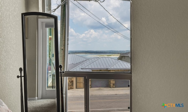 doorway to outside featuring carpet flooring and plenty of natural light