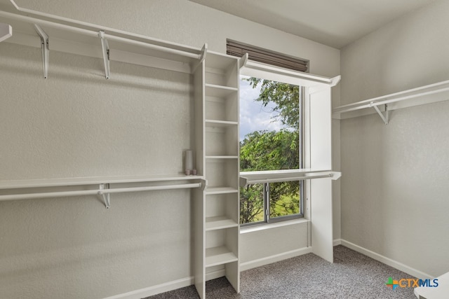 spacious closet featuring carpet floors