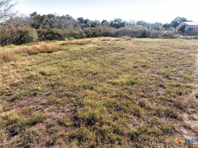 TBD Fm 318, Hallettsville, TX 77964 - photo 3
