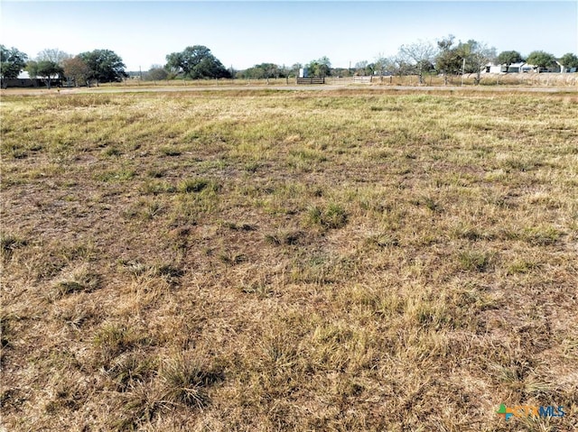 TBD Fm 318, Hallettsville, TX 77964 - photo 4