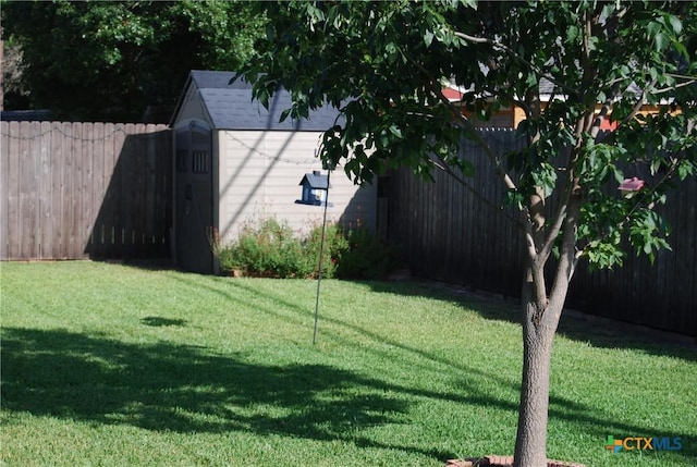 view of yard with a storage shed