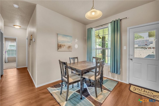 dining area with a wealth of natural light, a textured ceiling, and wood-type flooring