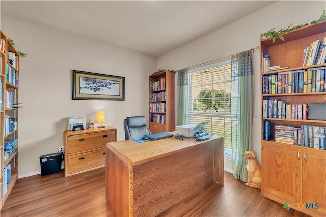 office area featuring hardwood / wood-style flooring