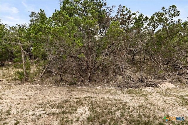 view of landscape