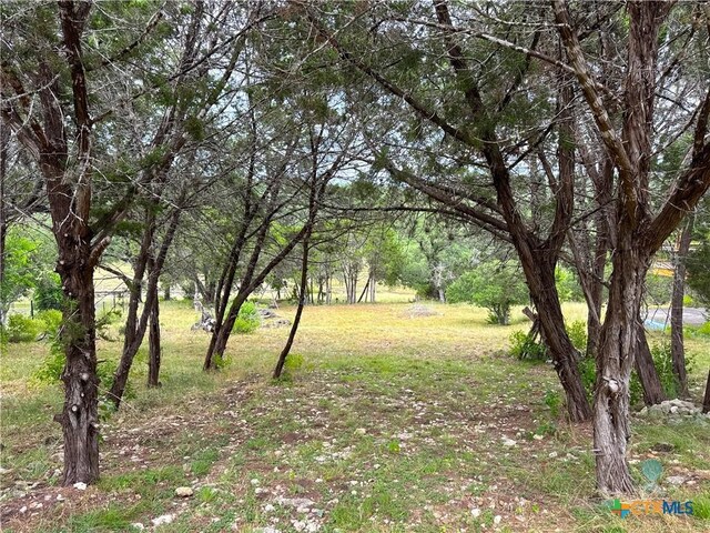 659 Spanish Oak Esplanade, Canyon Lake, TX 78133
