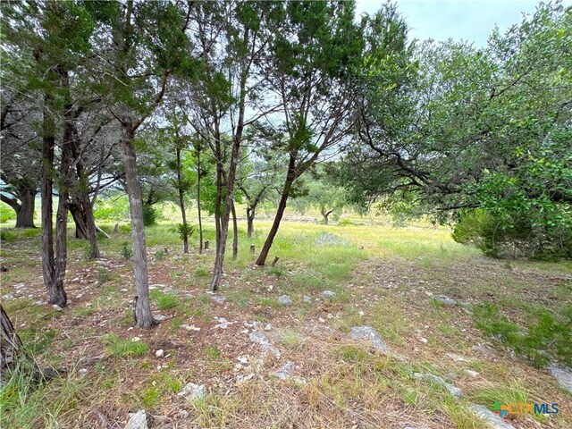 659 Spanish Oak Esplanade, Canyon Lake, TX 78133