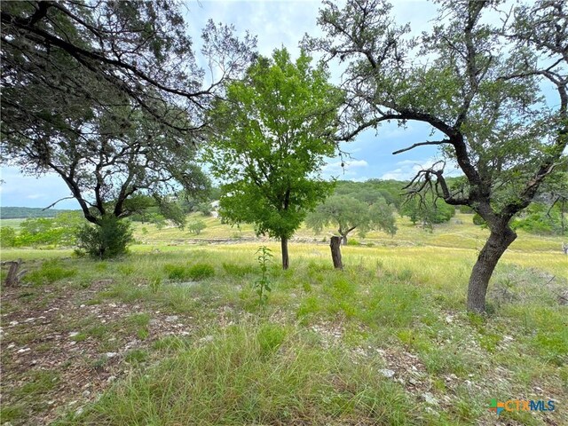 659 Spanish Oak Esplanade, Canyon Lake, TX 78133