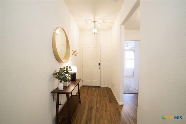 foyer entrance featuring dark wood-type flooring and baseboards