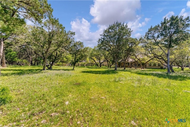 781 Meridian Dr, New Braunfels, TX 78132 - view of yard