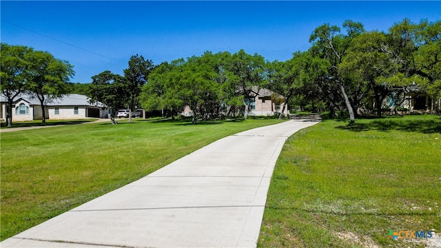 view of community featuring a yard