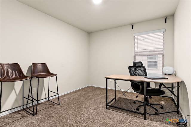 office space with carpet