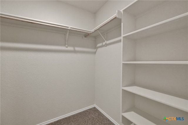 walk in closet featuring carpet floors