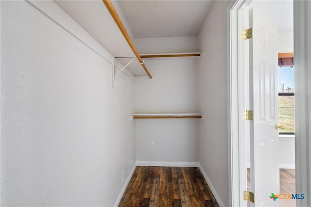 walk in closet featuring wood finished floors