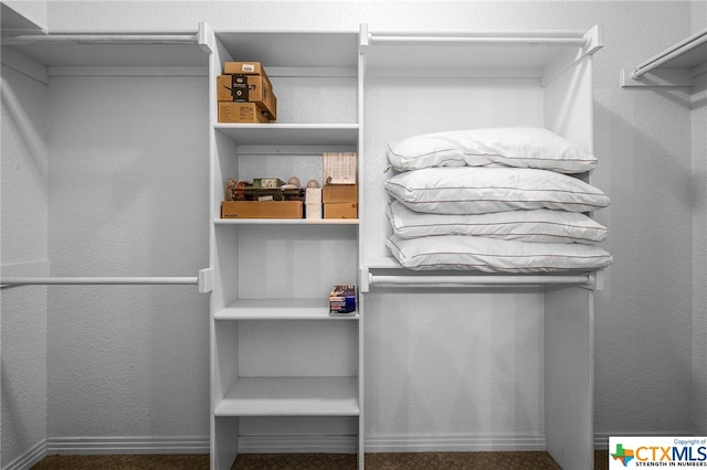 spacious closet featuring carpet flooring