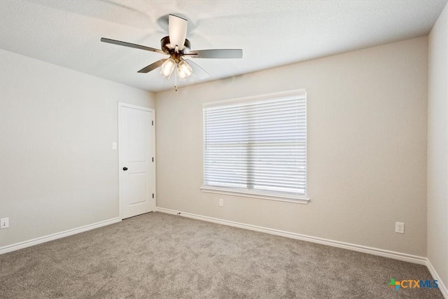 3005 Hedwig St, Killeen, TX 76549 - photo 22