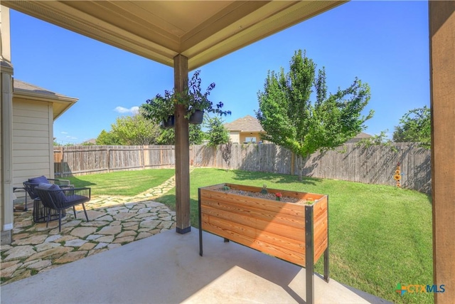 6333 Iris Run, New Braunfels, TX 78132 - fenced backyard featuring a patio area