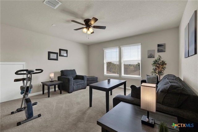 6333 Iris Run, New Braunfels, TX 78132 - living room with carpet, a ceiling fan, and a textured ceiling