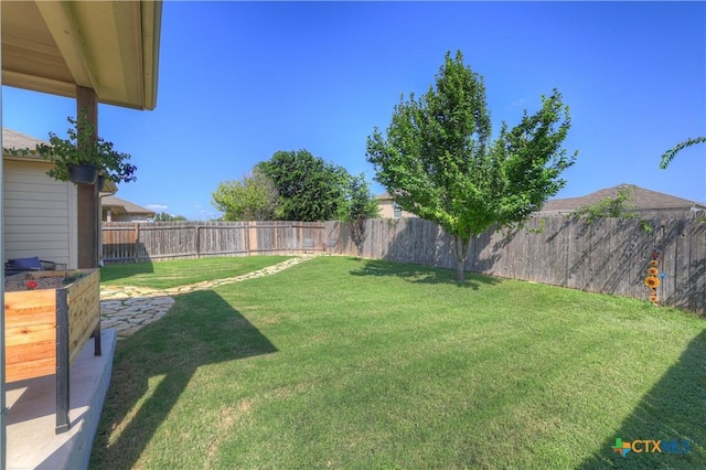 6333 Iris Run, New Braunfels, TX 78132 - view of fenced backyard