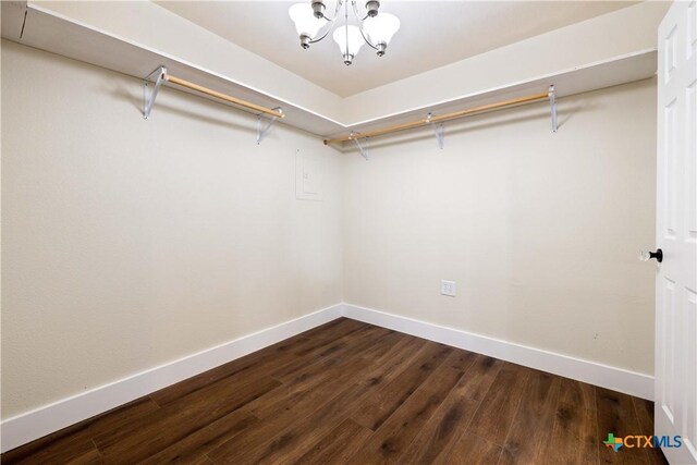 walk in closet with an inviting chandelier and dark wood-style floors